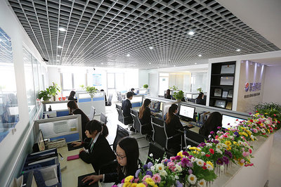 公司简介 专业的软件技术服务提供商