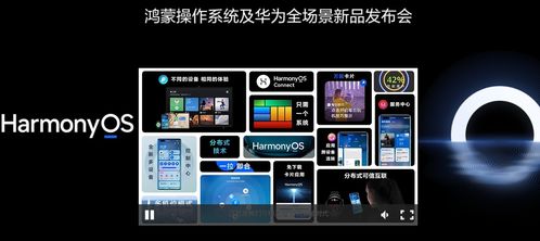 华为正式发布鸿蒙 软件技术服务的未来何去何从
